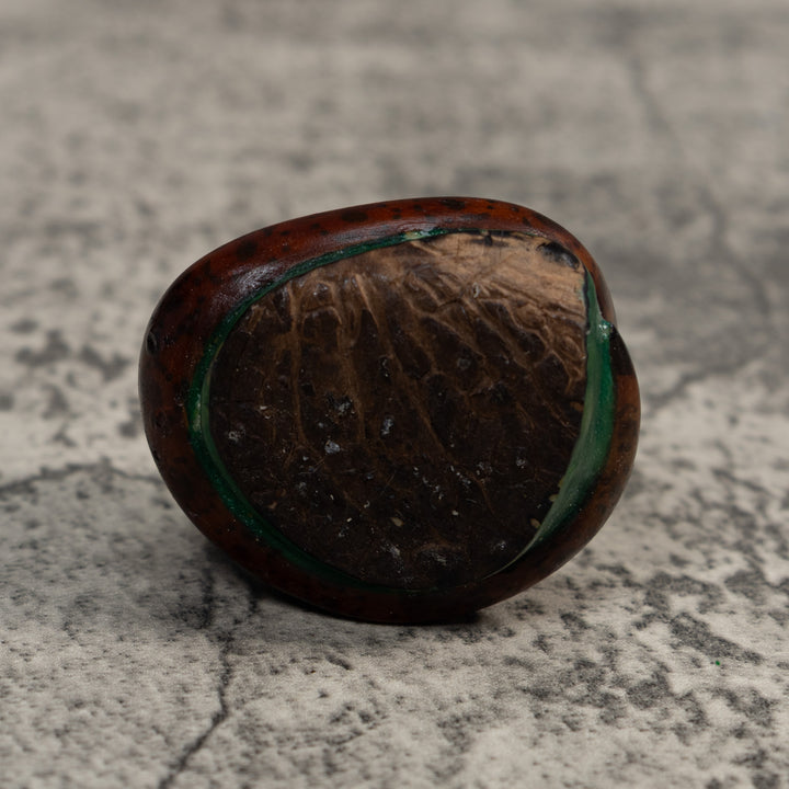 Brown And Gold Snake Eating Frog Tagua Carving