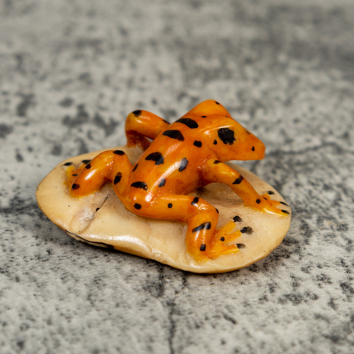Vintage Orange And Black Frog Tagua Carving