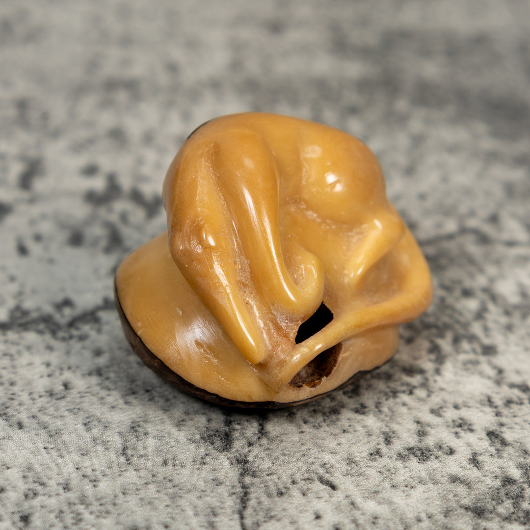 Vintage Natural White Dyed Anteater Tagua Carving