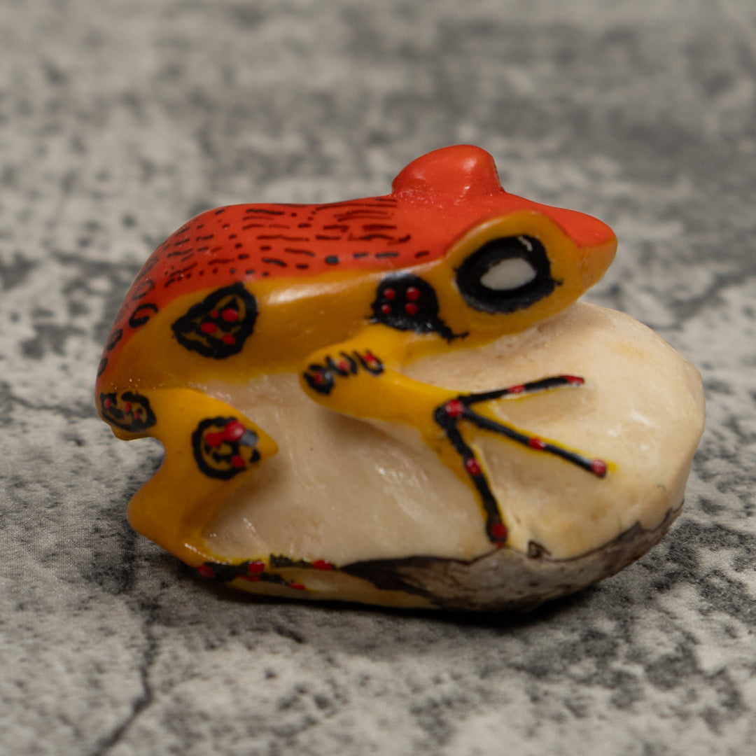 Vintage Orange And Black Frog Tagua Carving