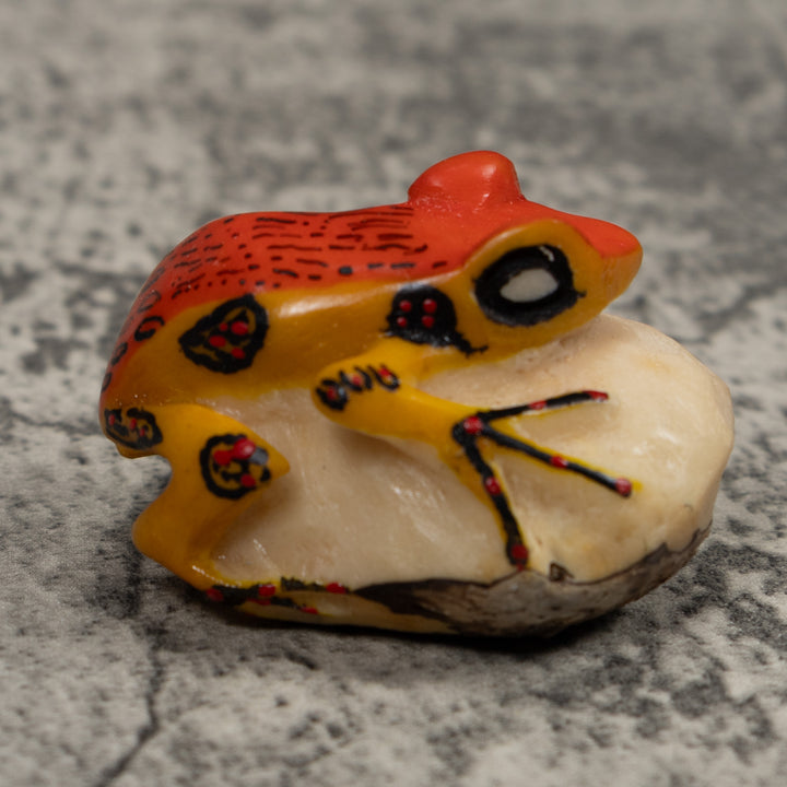 Vintage Orange And Black Frog Tagua Carving