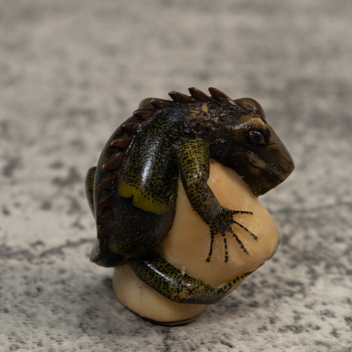 Brown And Black Iguana Lizard Tagua Carving
