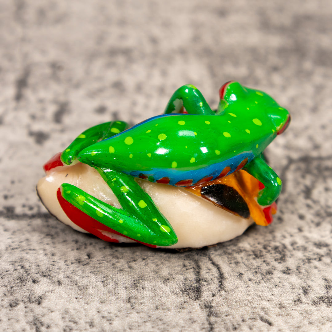 Red-Eye Tree Frog Tagua Carving