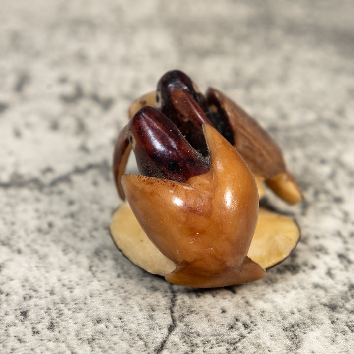 Brown And Black Two Bird Tagua Carving