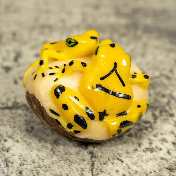 Double (2) Golden Frog Tagua Carving