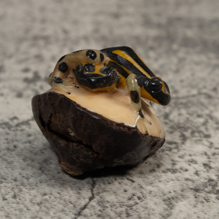 Gold And Black Poison Dart Frog Tagua Carving