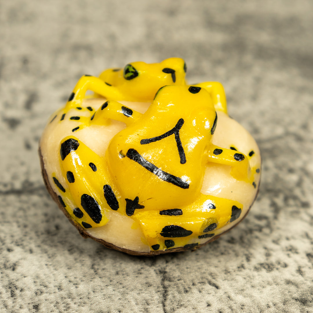 Double (2) Golden Frog Tagua Carving