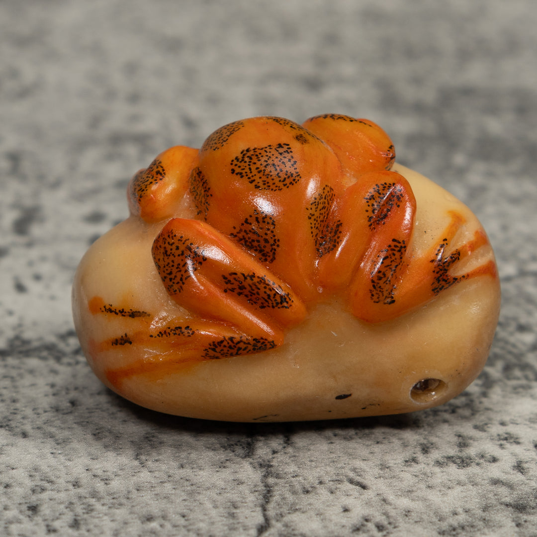 Vintage Orange And Black Frog Tagua Carving