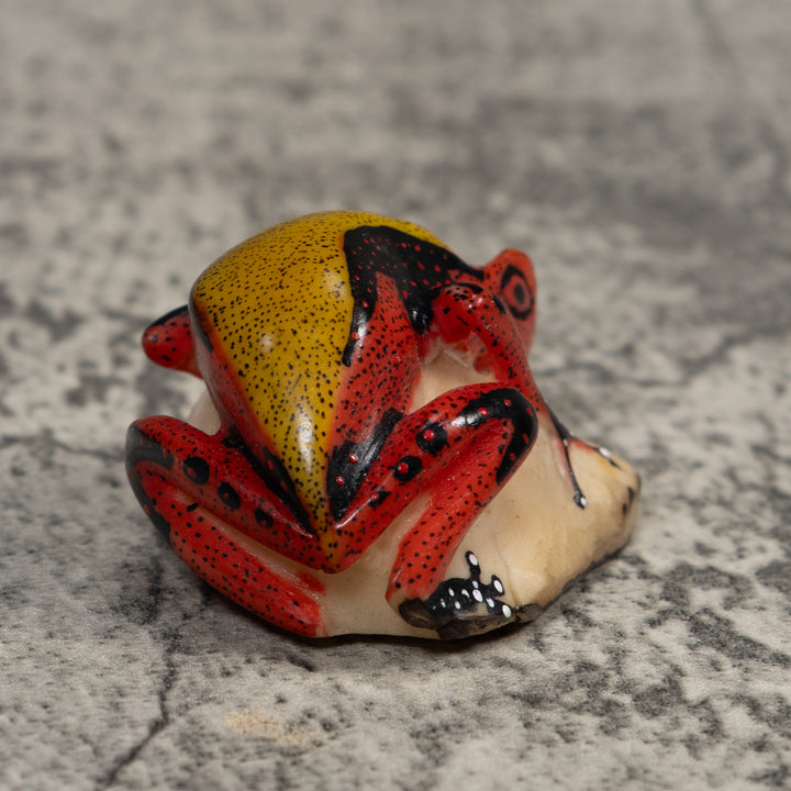 Poison Dart Frog Tagua Carving