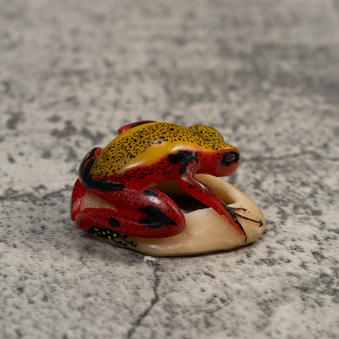 Red And Yellow Poison Dart Frog Tagua Carving