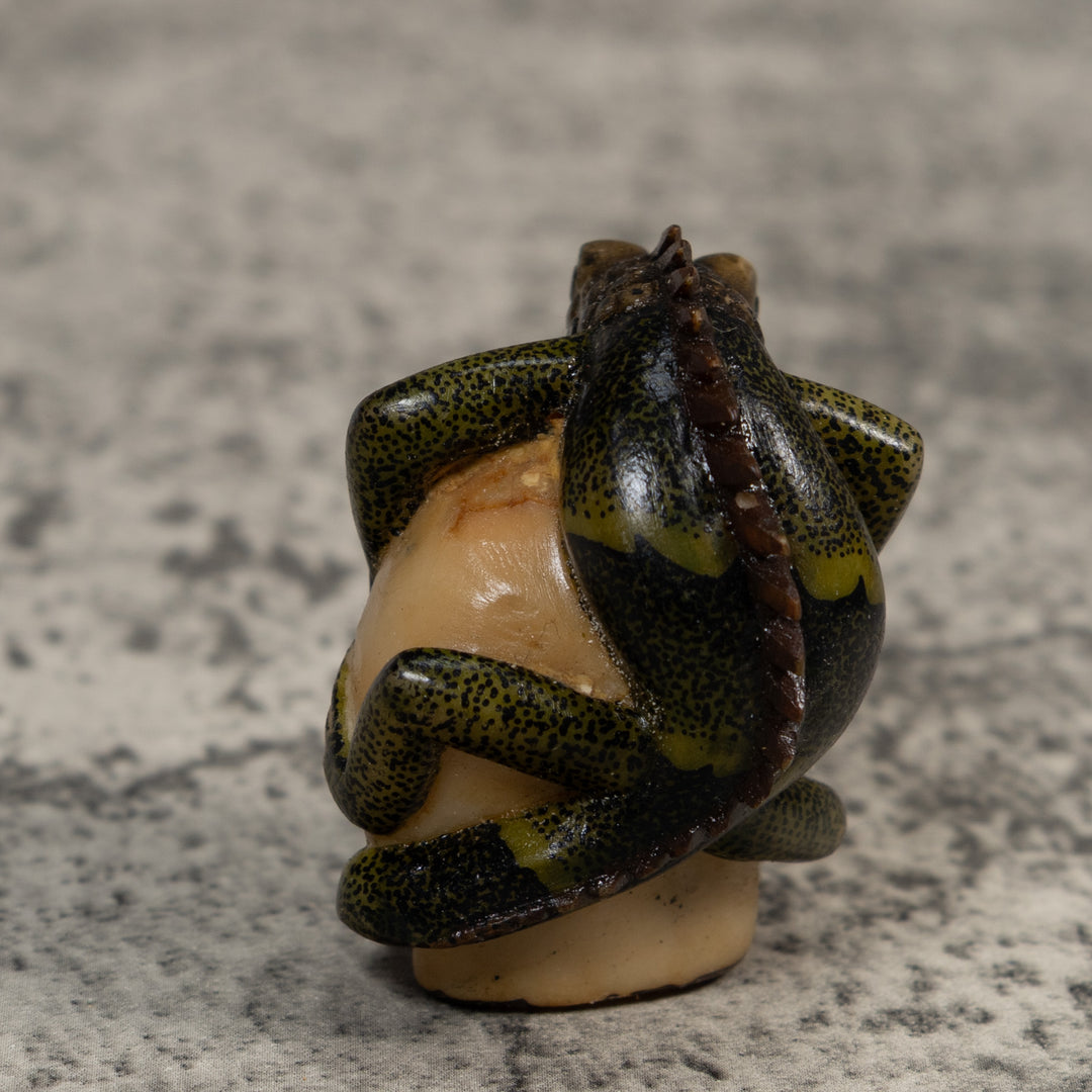 Brown And Black Iguana Lizard Tagua Carving