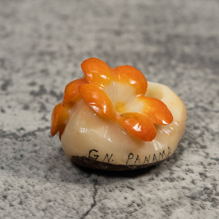 Double Golden Flower Petals Tagua Carving