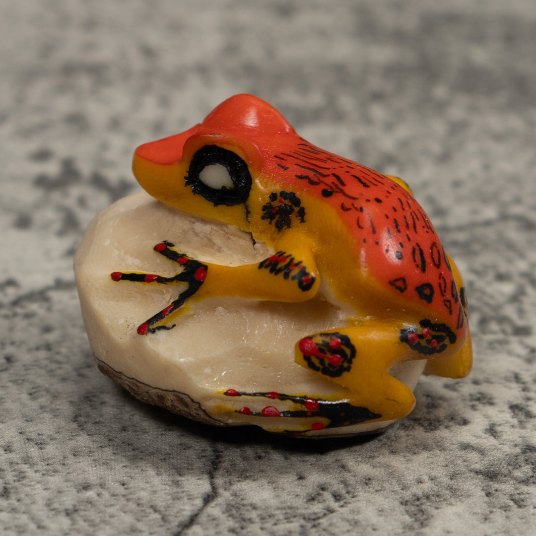 Vintage Orange And Black Frog Tagua Carving