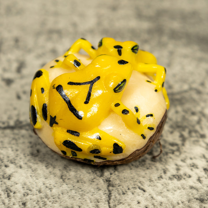 Double (2) Golden Frog Tagua Carving