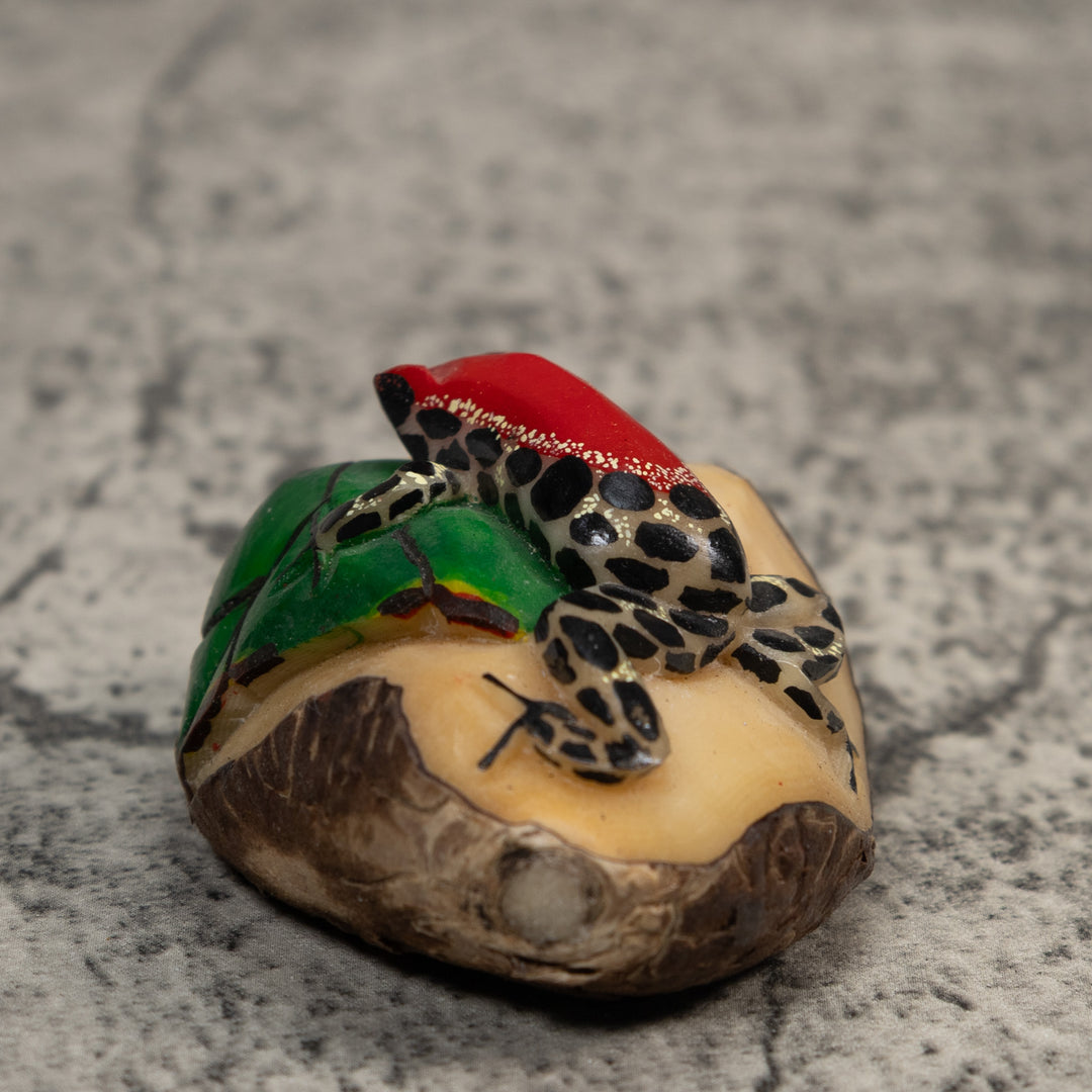 White Red And Black Poison Dart Frog Tagua Carving
