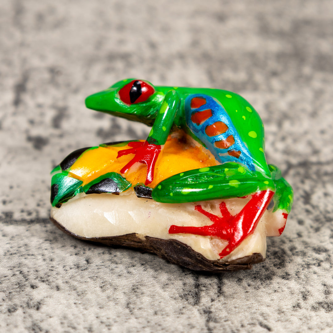 Red-Eye Tree Frog Tagua Carving
