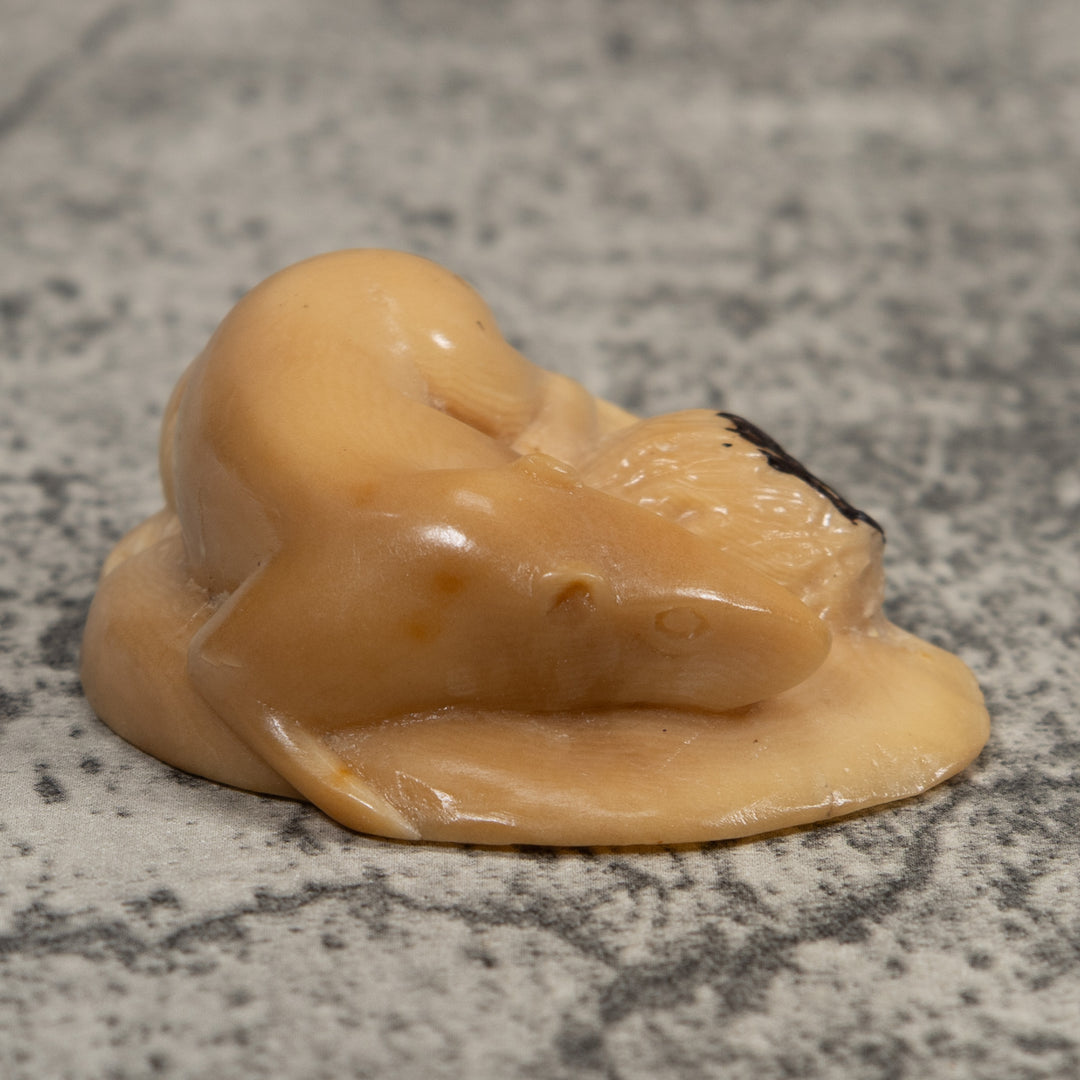 Vintage White Neque Agouti Tagua Carving