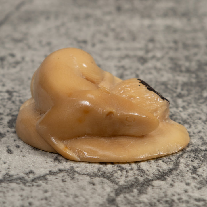 Vintage White Neque Agouti Tagua Carving