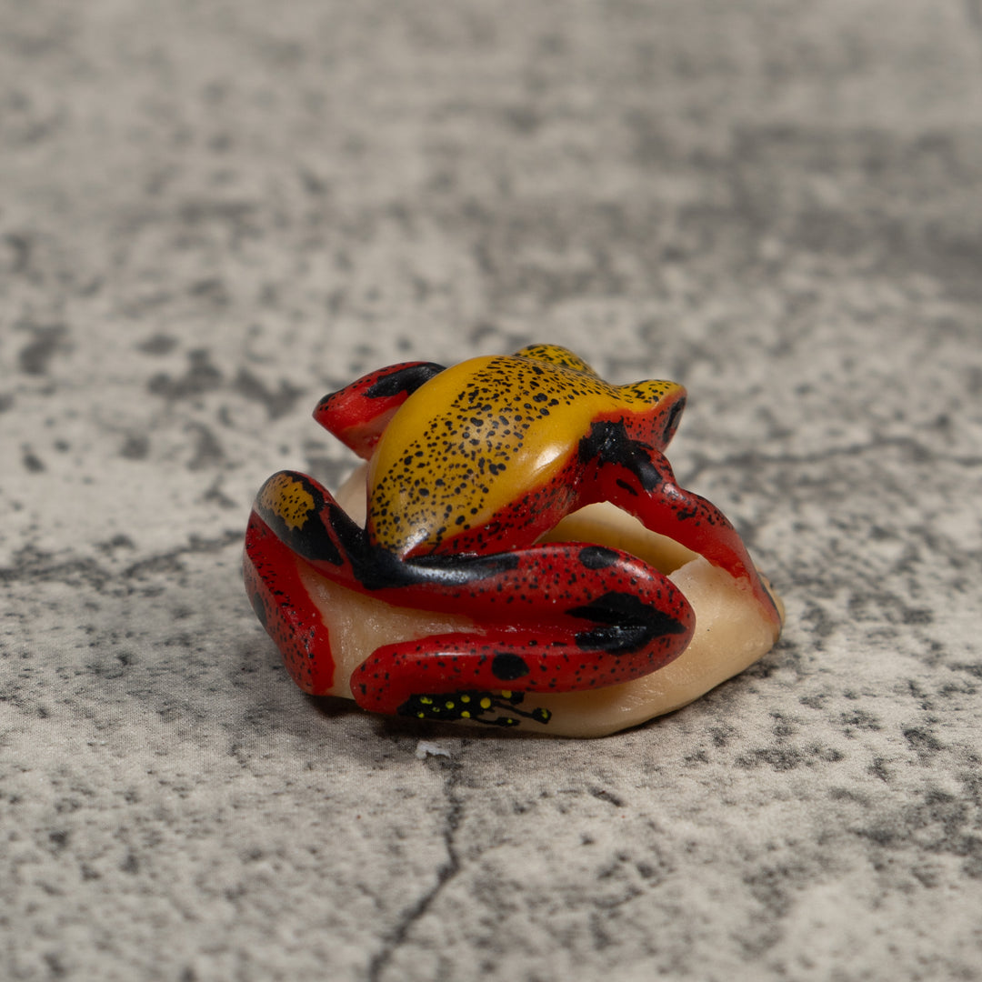Red And Yellow Poison Dart Frog Tagua Carving