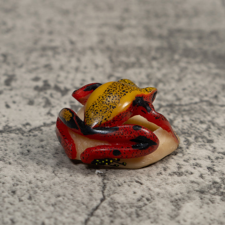Red And Yellow Poison Dart Frog Tagua Carving