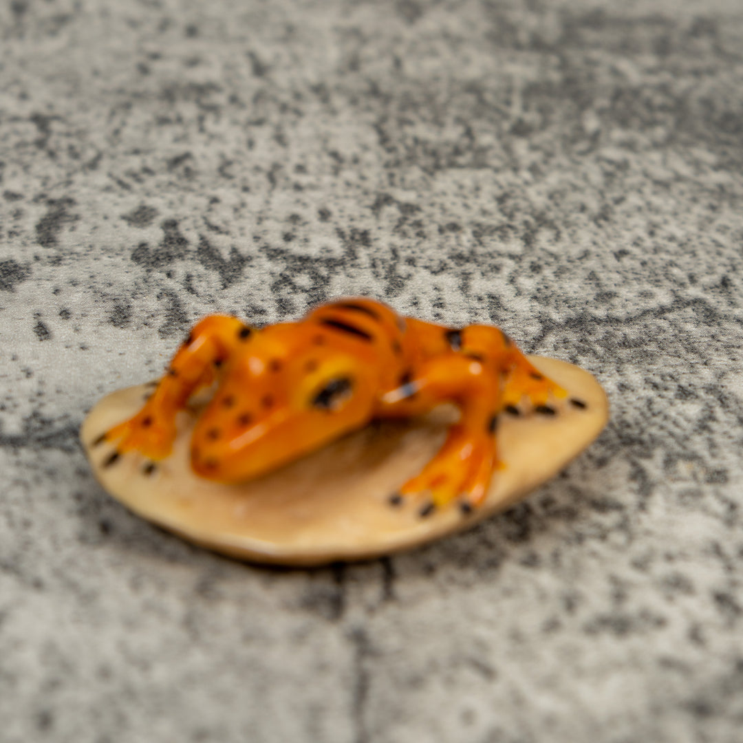Vintage Orange And Black Frog Tagua Carving