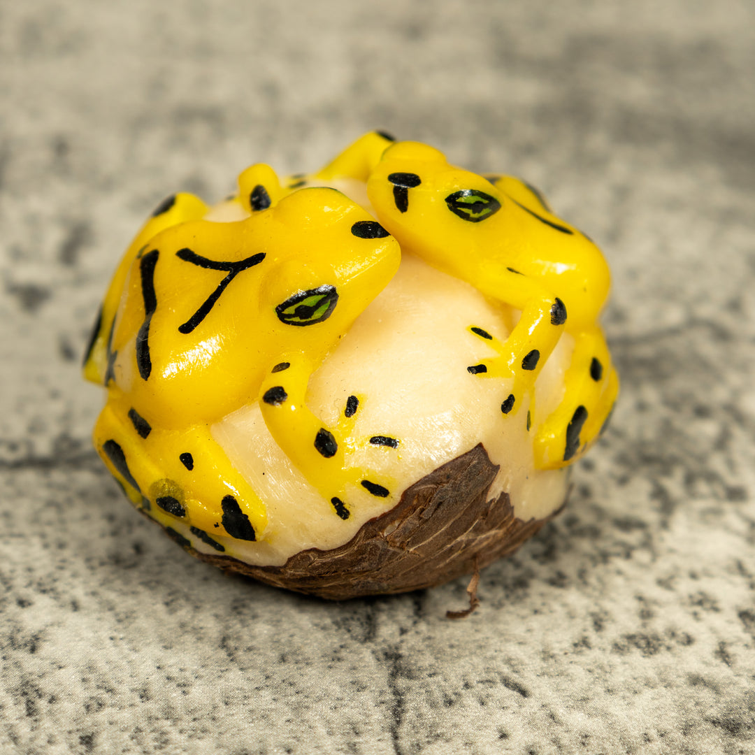 Double (2) Golden Frog Tagua Carving