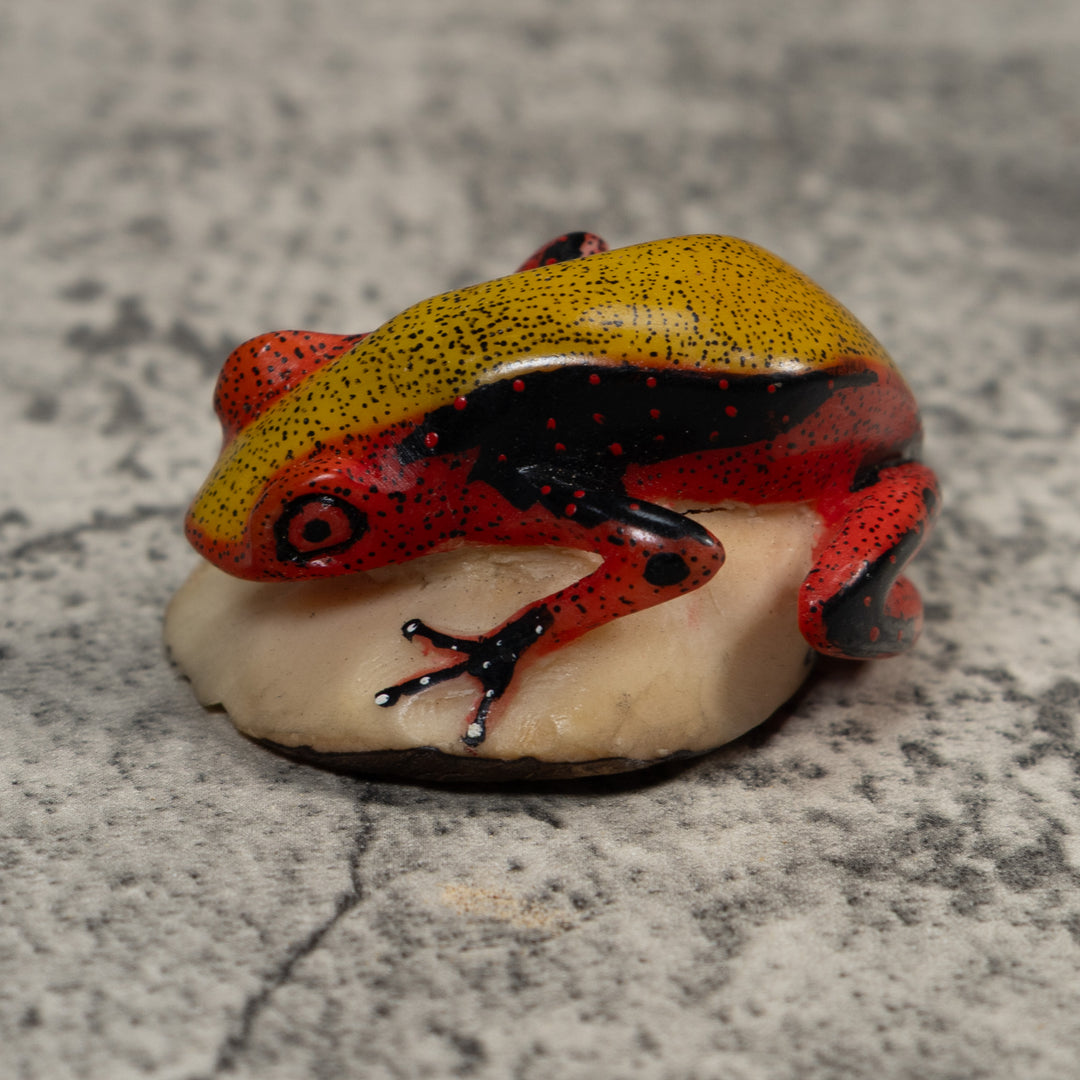 Poison Dart Frog Tagua Carving