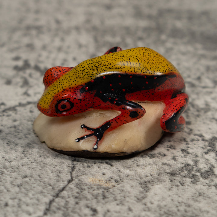 Poison Dart Frog Tagua Carving