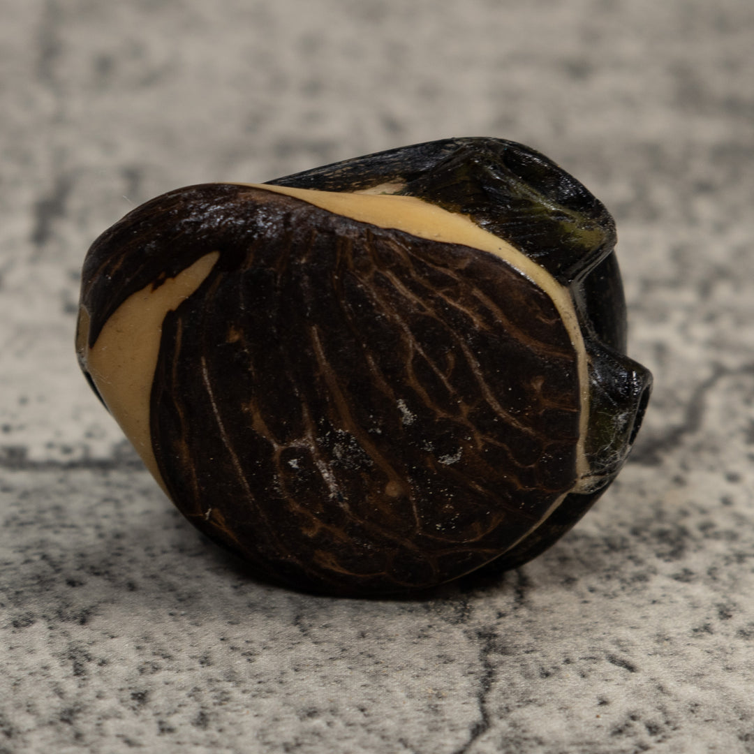 Black Howler Monkey Tagua Carving