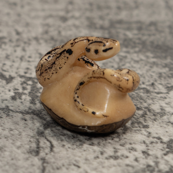 Black And White Snake Boa Tagua Carving