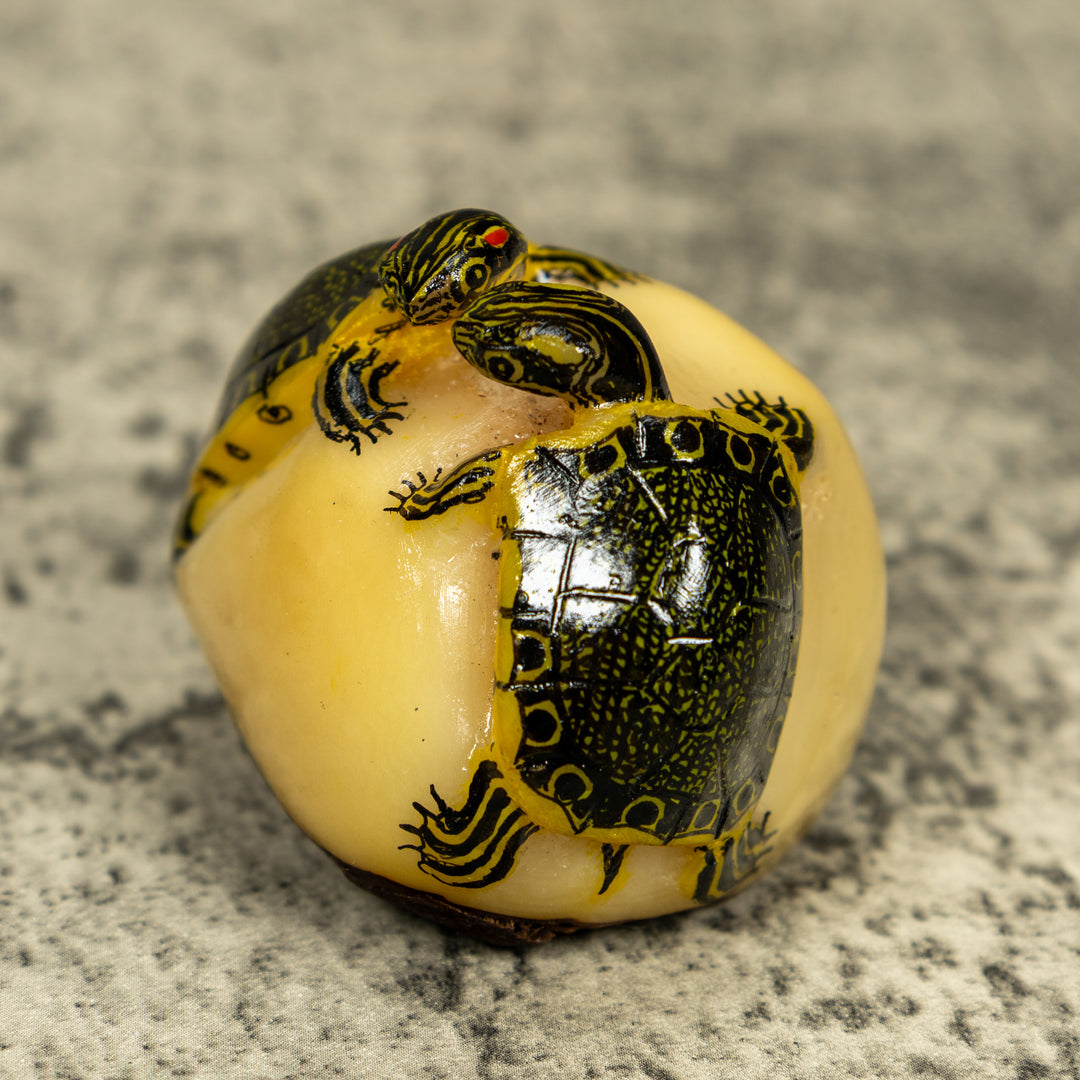 Double (2) Tortoise Turtle Tagua Carving