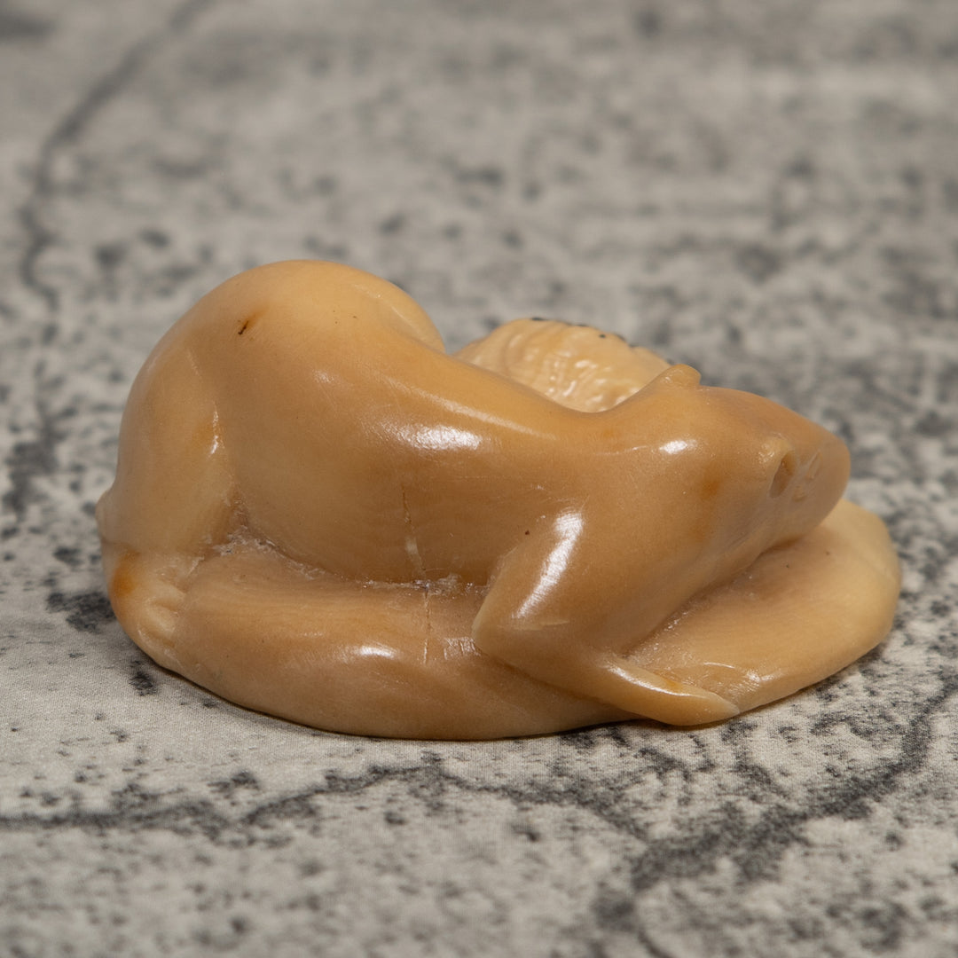 Vintage White Neque Agouti Tagua Carving