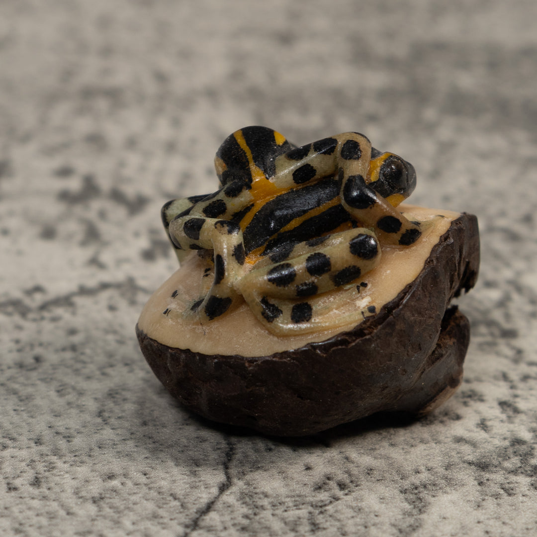 Gold And Black Poison Dart Frog Tagua Carving