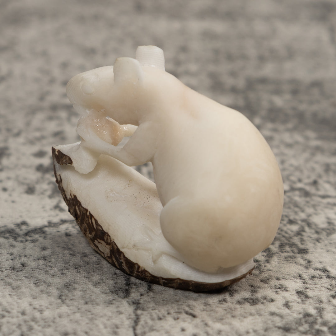 White Natural Neque Agouti Tagua Carving