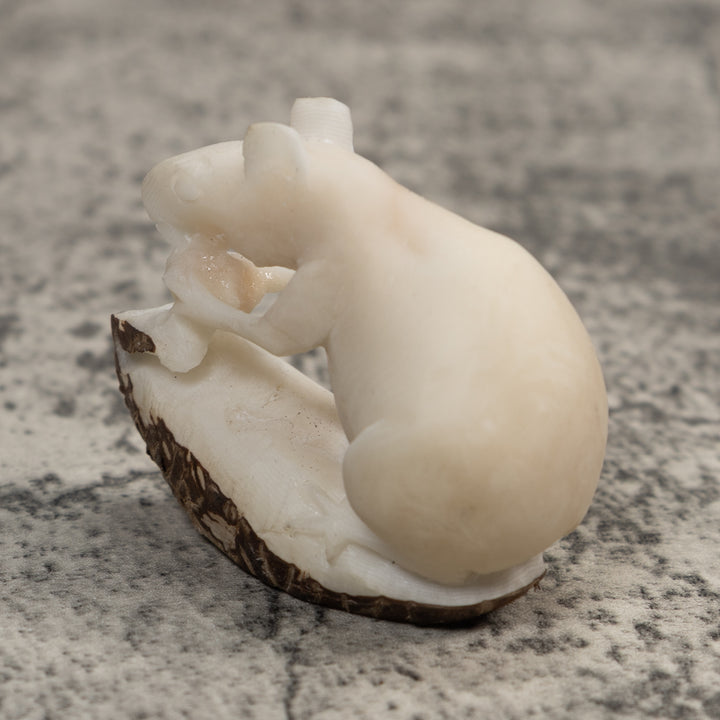 White Natural Neque Agouti Tagua Carving