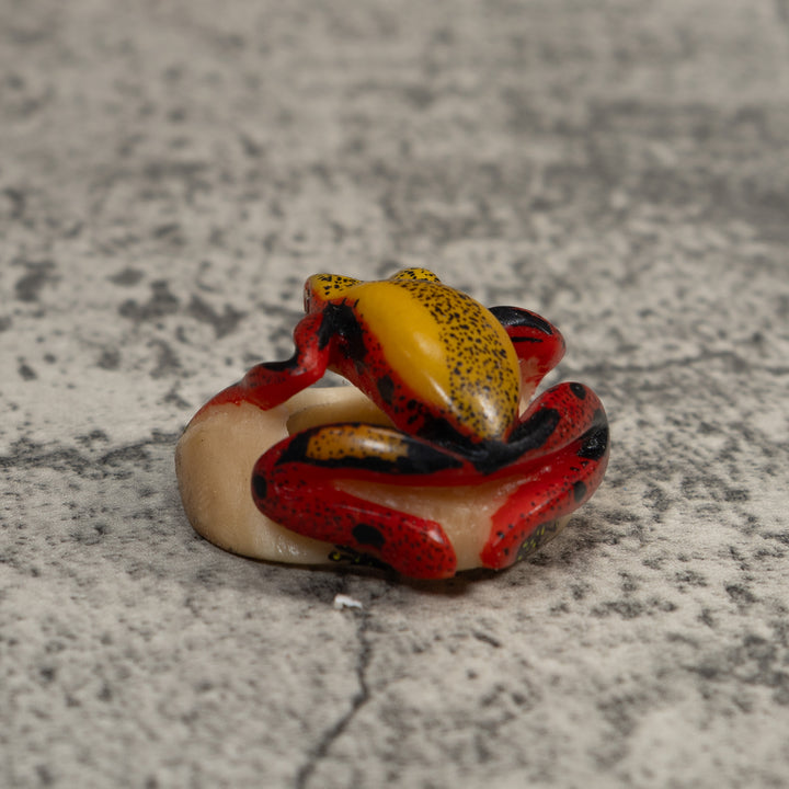 Red And Yellow Poison Dart Frog Tagua Carving