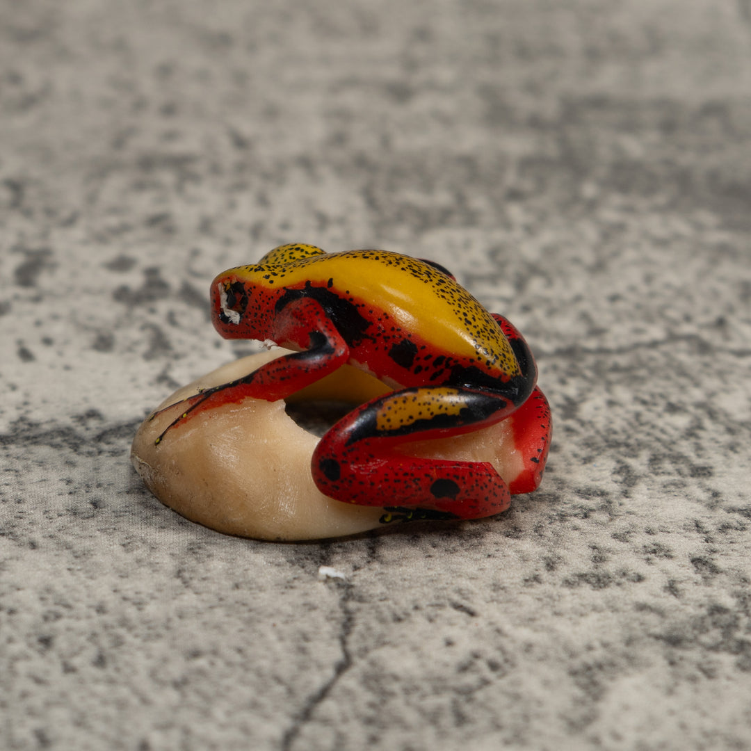 Red And Yellow Poison Dart Frog Tagua Carving