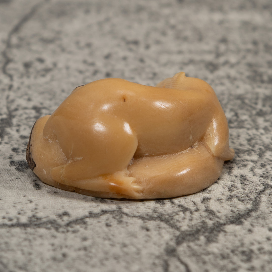 Vintage White Neque Agouti Tagua Carving