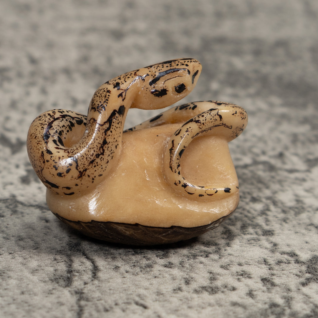 Black And White Snake Boa Tagua Carving