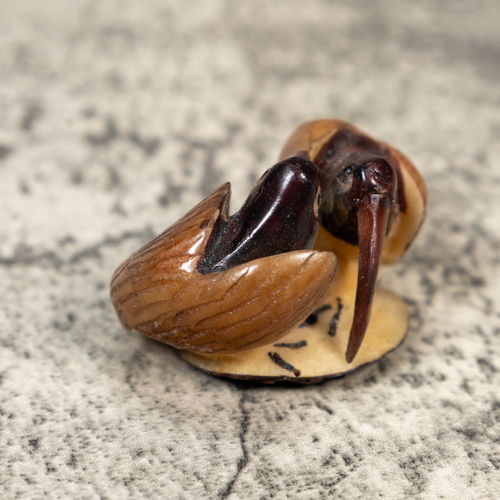 Brown And Black Two Bird Tagua Carving