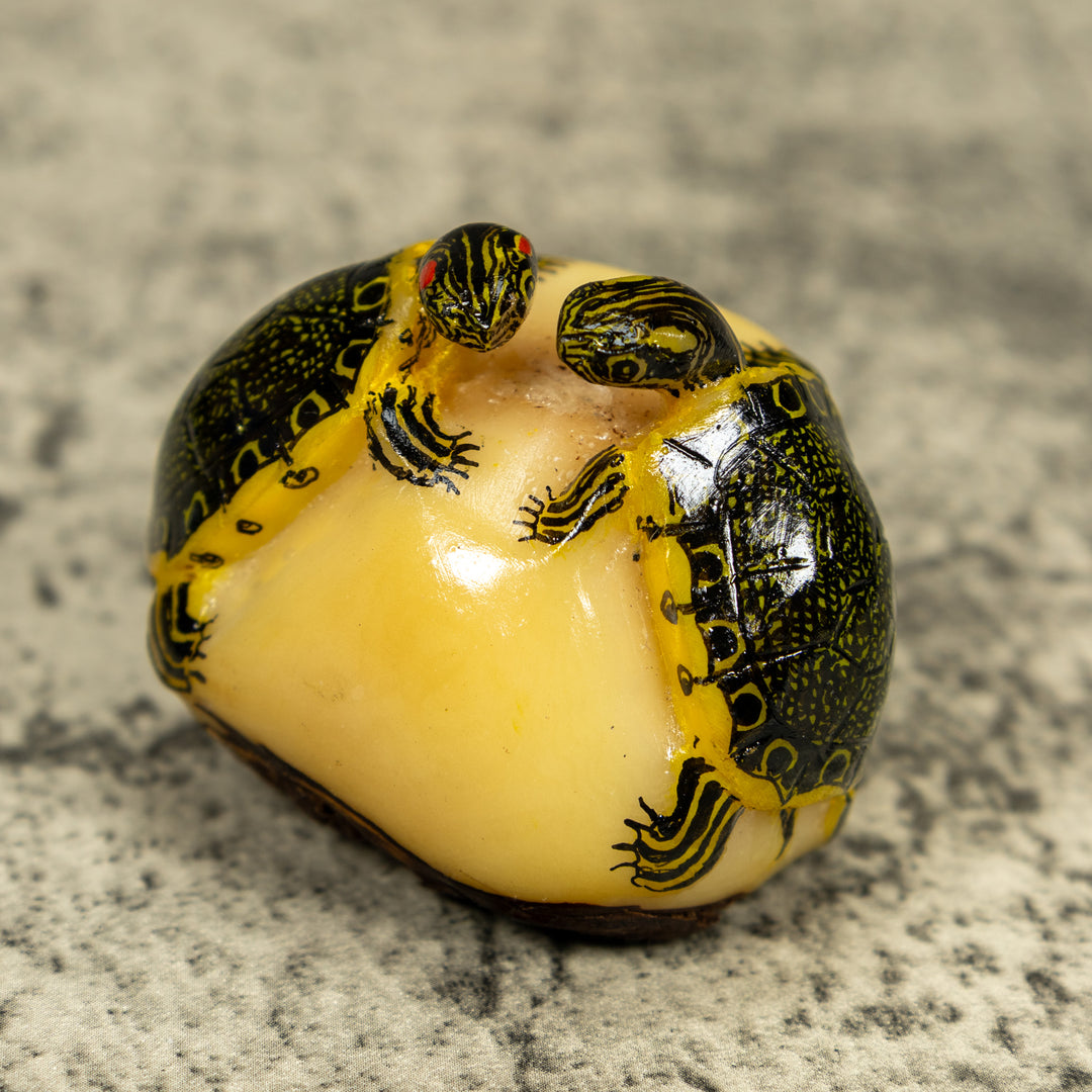 Double (2) Tortoise Turtle Tagua Carving