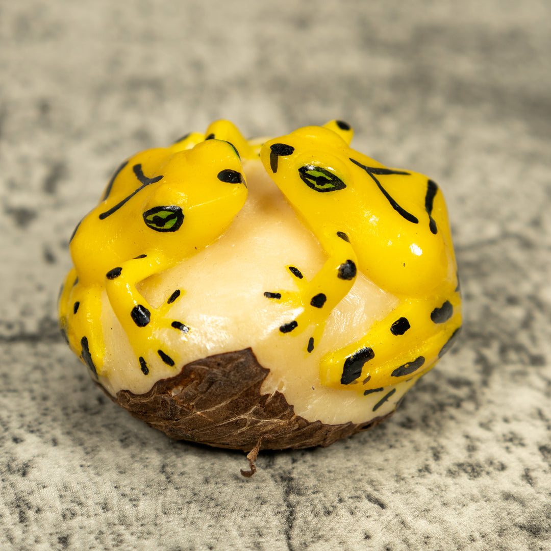 Double (2) Golden Frog Tagua Carving