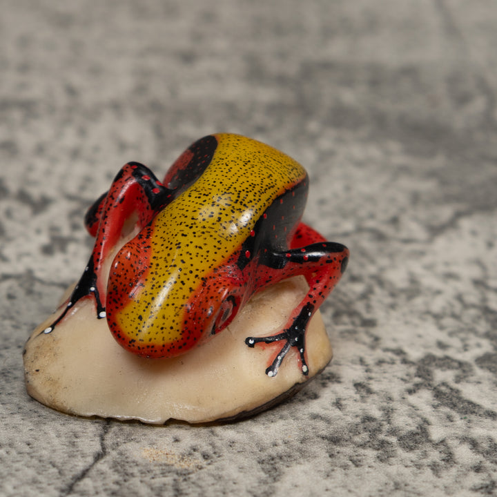 Poison Dart Frog Tagua Carving