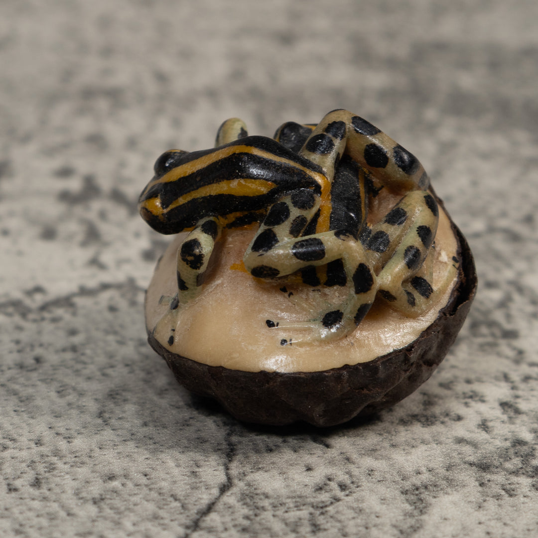 Gold And Black Poison Dart Frog Tagua Carving