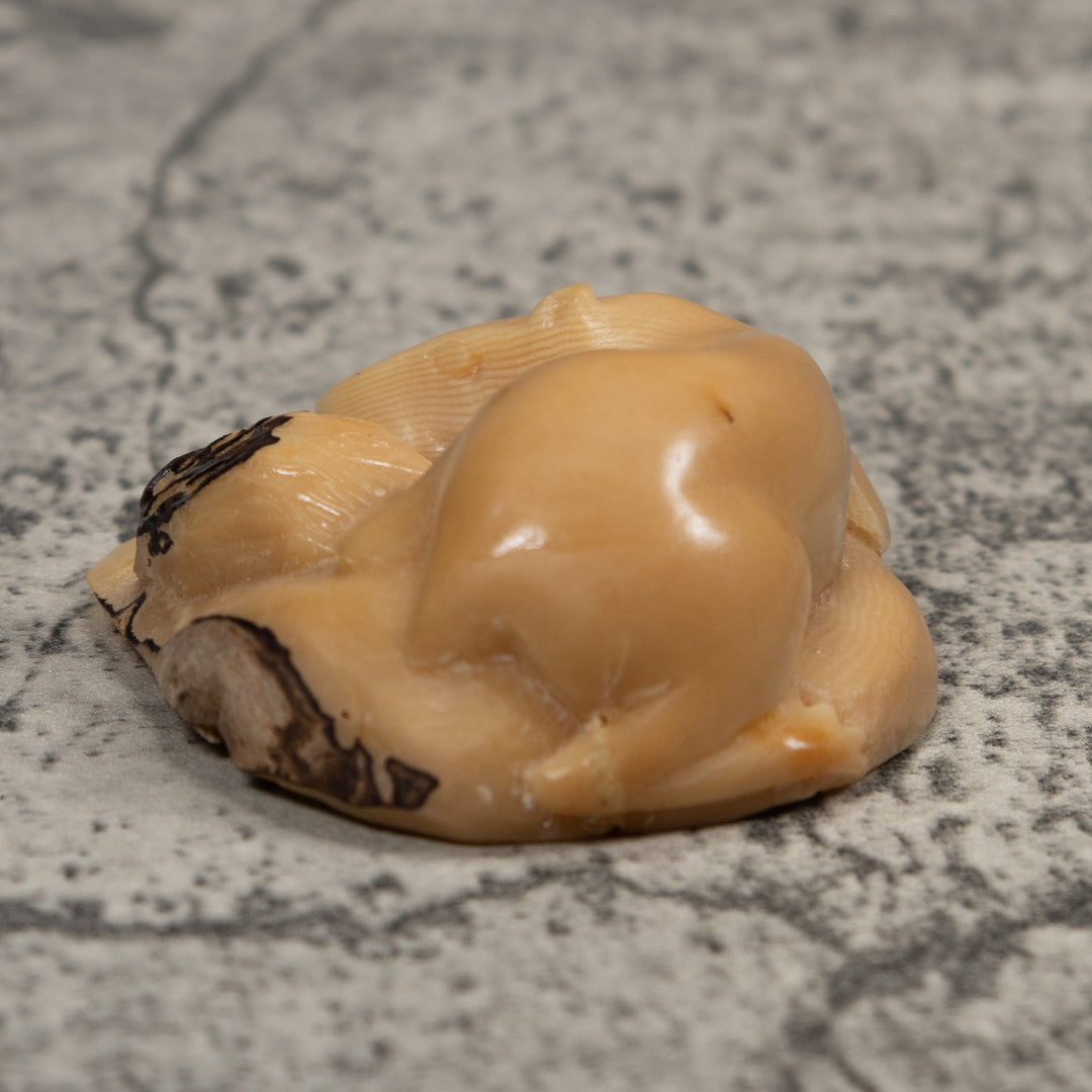 Vintage White Neque Agouti Tagua Carving