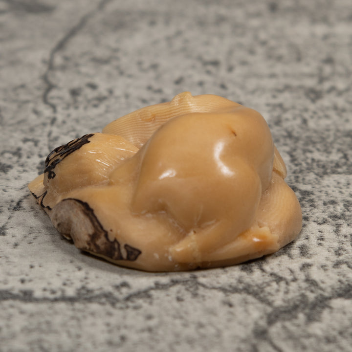 Vintage White Neque Agouti Tagua Carving