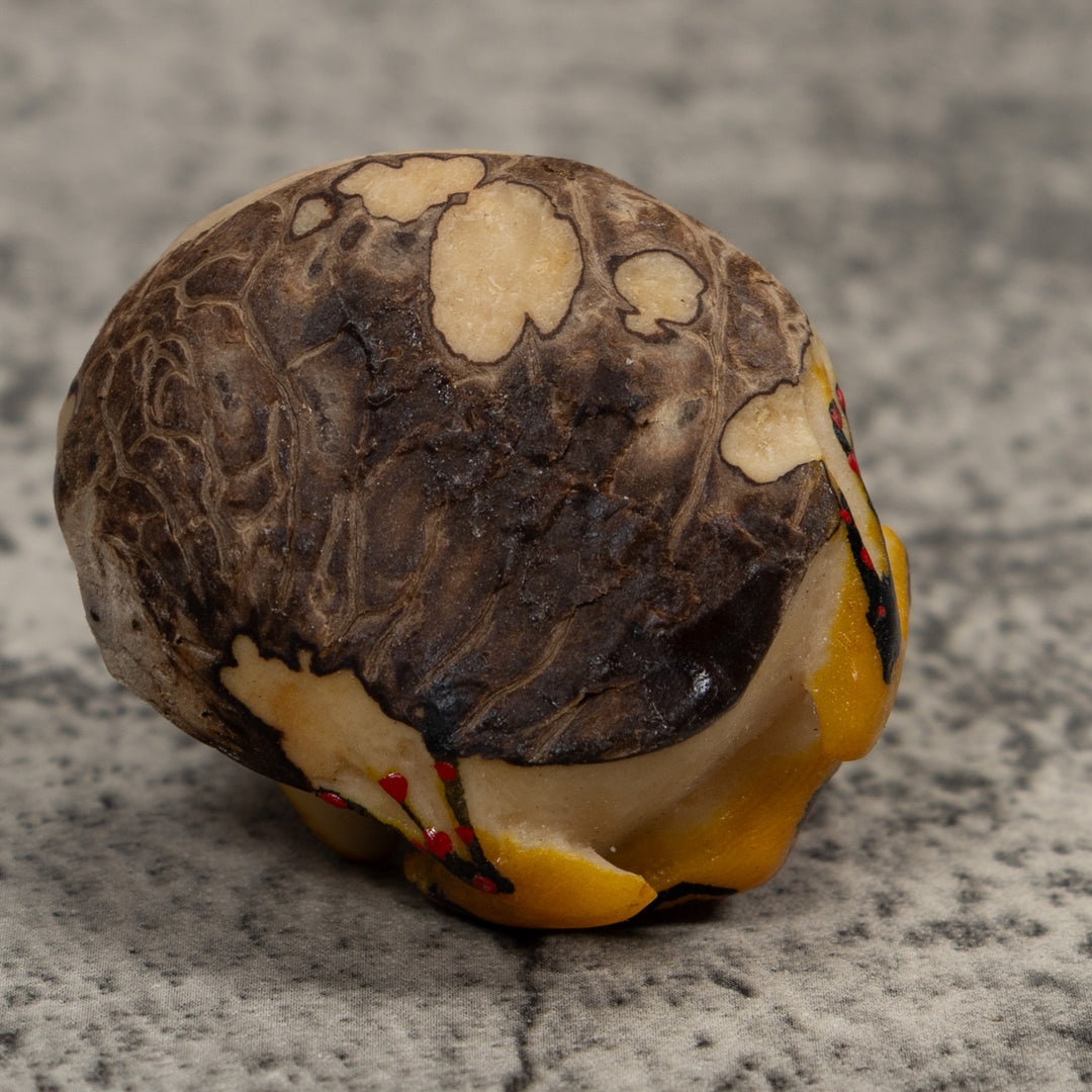Vintage Orange And Black Frog Tagua Carving