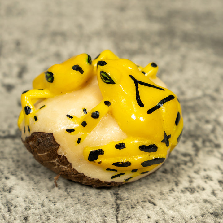 Double (2) Golden Frog Tagua Carving