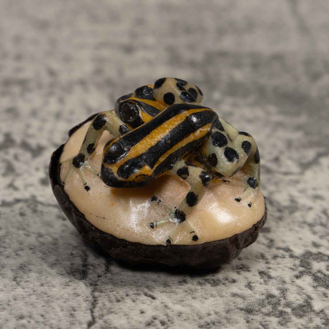 Gold And Black Poison Dart Frog Tagua Carving