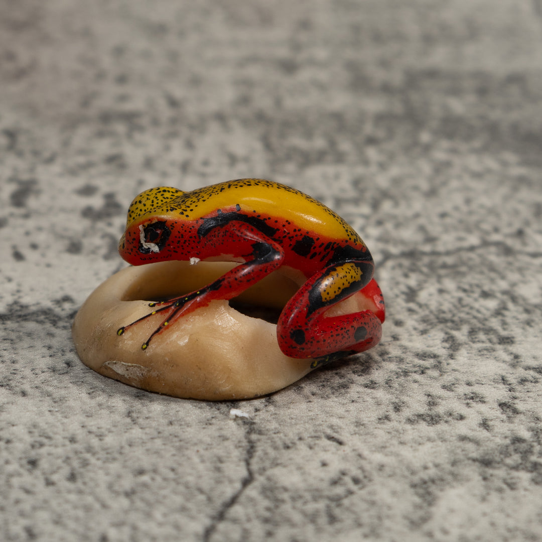 Red And Yellow Poison Dart Frog Tagua Carving